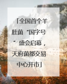 全国首个羊肚菌“国字号”盛会启幕，天府菌都交易中心开市