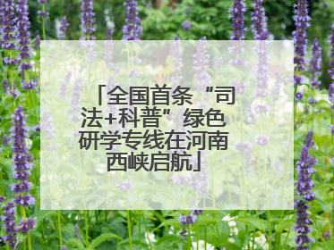 全国首条“司法+科普”绿色研学专线在河南西峡启航