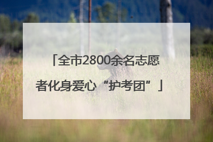 全市2800余名志愿者化身爱心“护考团”