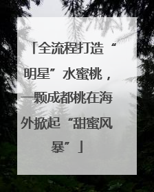 全流程打造“明星”水蜜桃，一颗成都桃在海外掀起“甜蜜风暴”