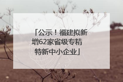 公示！福建拟新增62家省级专精特新中小企业
