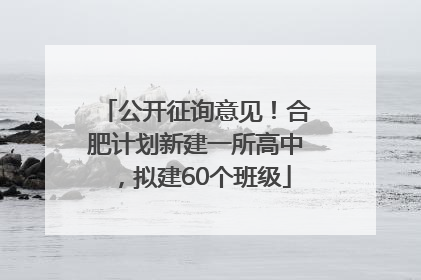 公开征询意见！合肥计划新建一所高中，拟建60个班级