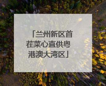 兰州新区首茬菜心直供粤港澳大湾区