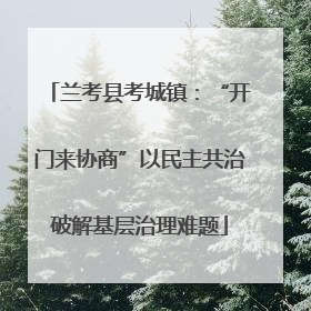 兰考县考城镇：“开门来协商”以民主共治破解基层治理难题