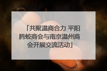 共聚温商合力 平阳腾蛟商会与南京温州商会开展交流活动