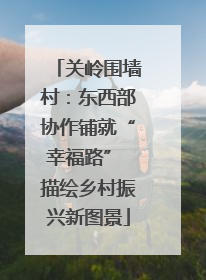 关岭围墙村：东西部协作铺就“幸福路” 描绘乡村振兴新图景