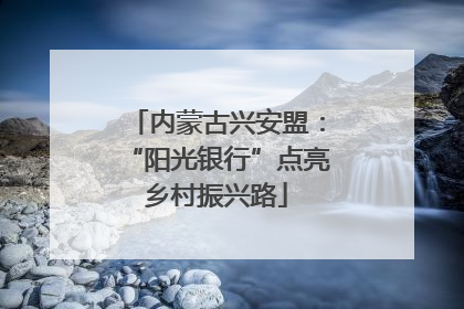 内蒙古兴安盟：“阳光银行”点亮乡村振兴路