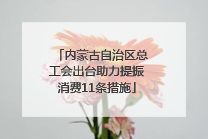 内蒙古自治区总工会出台助力提振消费11条措施