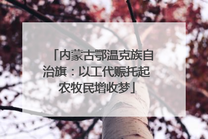 内蒙古鄂温克族自治旗：以工代赈托起农牧民增收梦