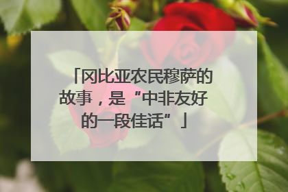 冈比亚农民穆萨的故事，是“中非友好的一段佳话”