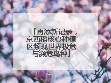 再添新记录，京西稻核心种植区频现世界极危与濒危鸟种