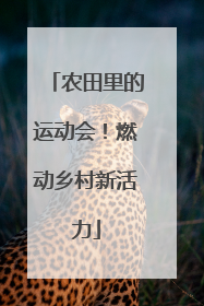 农田里的运动会！燃动乡村新活力