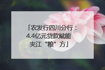 农发行四川分行：4.4亿元贷款赋能夹江“粮”方