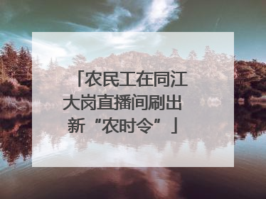 农民工在同江大岗直播间刷出新“农时令”