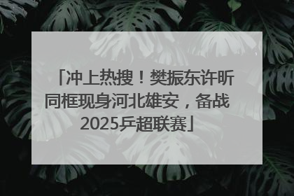 冲上热搜！樊振东许昕同框现身河北雄安，备战2025乒超联赛