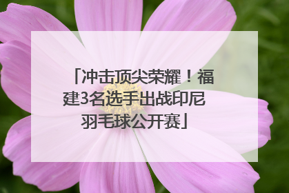 冲击顶尖荣耀！福建3名选手出战印尼羽毛球公开赛
