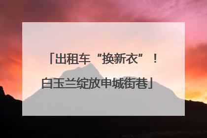 出租车“换新衣”！白玉兰绽放申城街巷