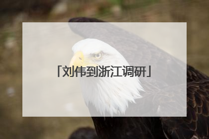 刘伟到浙江调研