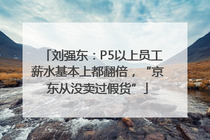刘强东：P5以上员工薪水基本上都翻倍，“京东从没卖过假货”
