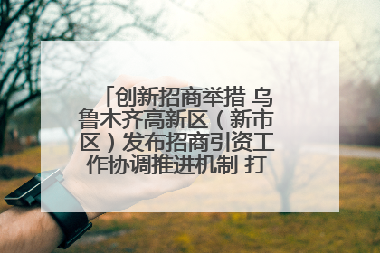 创新招商举措 乌鲁木齐高新区（新市区）发布招商引资工作协调推进机制 打造投资发展新高地