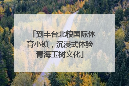 到丰台北粮国际体育小镇，沉浸式体验青海玉树文化