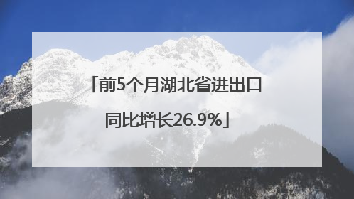 前5个月湖北省进出口同比增长26.9%