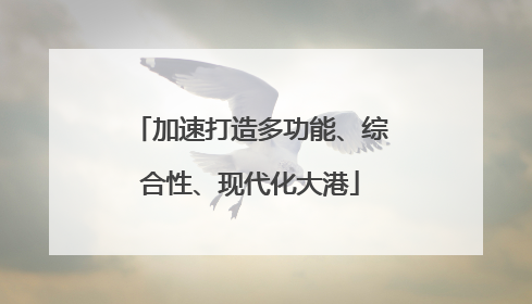 加速打造多功能、综合性、现代化大港