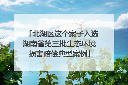 北湖区这个案子入选湖南省第三批生态环境损害赔偿典型案例