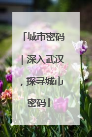 城市密码｜深入武汉，探寻城市密码