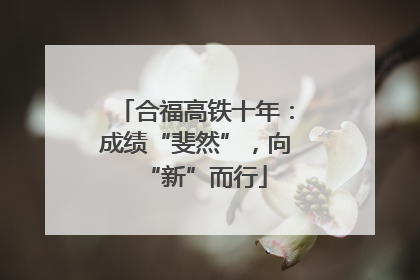 合福高铁十年：成绩“斐然”，向“新”而行