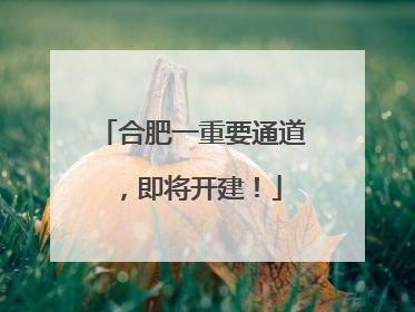 合肥一重要通道，即将开建！