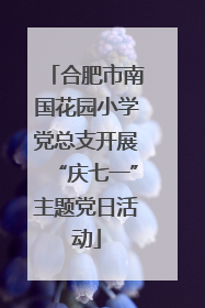 合肥市南国花园小学党总支开展“庆七一”主题党日活动