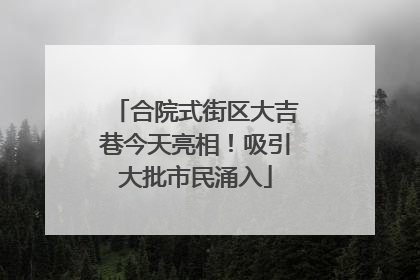 合院式街区大吉巷今天亮相！吸引大批市民涌入
