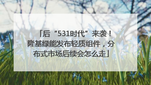 后“531时代”来袭！隆基绿能发布轻质组件，分布式市场后续会怎么走