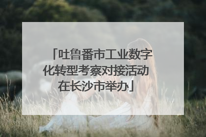 吐鲁番市工业数字化转型考察对接活动在长沙市举办