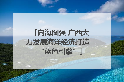 向海图强 广西大力发展海洋经济打造“蓝色引擎”