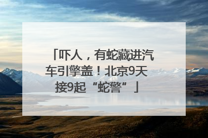 吓人，有蛇藏进汽车引擎盖！北京9天接9起“蛇警”