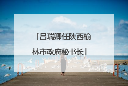 吕瑞卿任陕西榆林市政府秘书长