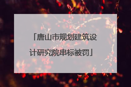 唐山市规划建筑设计研究院串标被罚