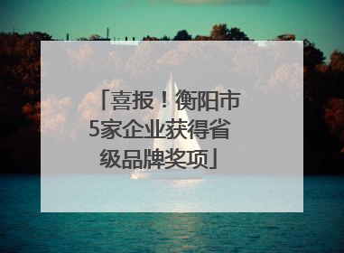 喜报！衡阳市5家企业获得省级品牌奖项
