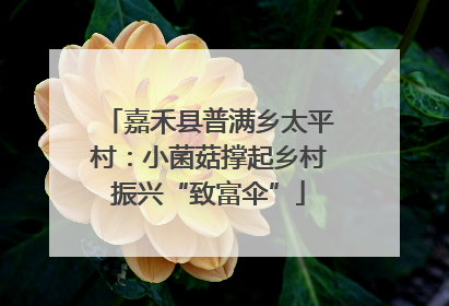 嘉禾县普满乡太平村：小菌菇撑起乡村振兴“致富伞”