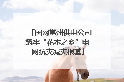 国网常州供电公司筑牢“花木之乡”电网抗灾减灾根基