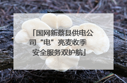 国网新蔡县供电公司“电”亮麦收季 安全服务双护航