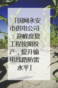 国网永安市供电公司：迎峰度夏工程按期投产，提升输电线路防雷水平