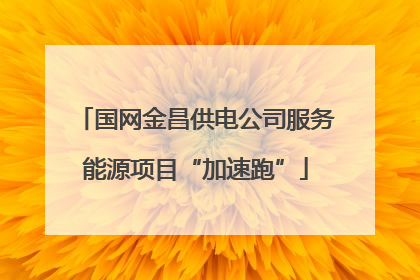 国网金昌供电公司服务能源项目“加速跑”