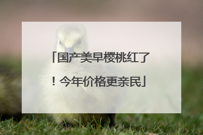 国产美早樱桃红了！今年价格更亲民
