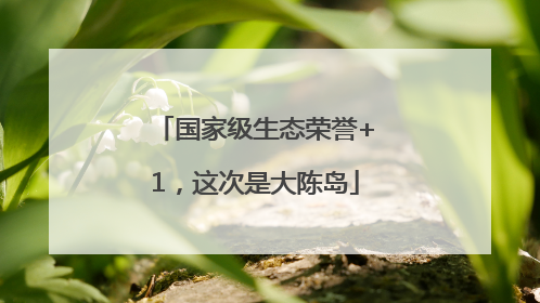 国家级生态荣誉+1，这次是大陈岛