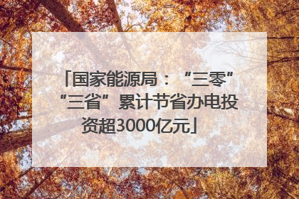 国家能源局：“三零”“三省”累计节省办电投资超3000亿元