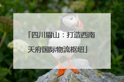 四川眉山：打造西南天府国际物流枢纽
