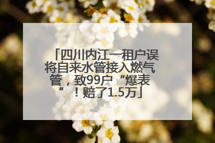 四川内江一租户误将自来水管接入燃气管，致99户“爆表”！赔了1.5万